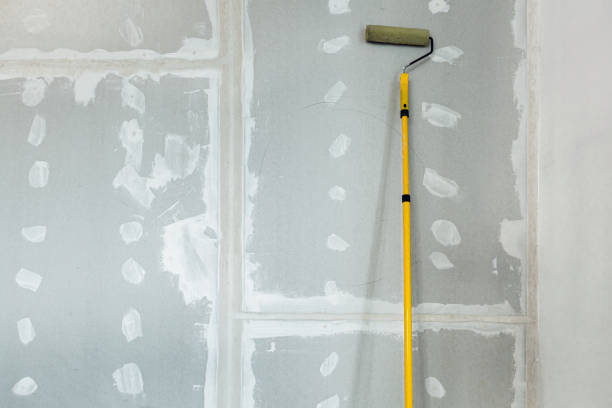 Best Emergency Mold Remediation  in Pleasant View, UT